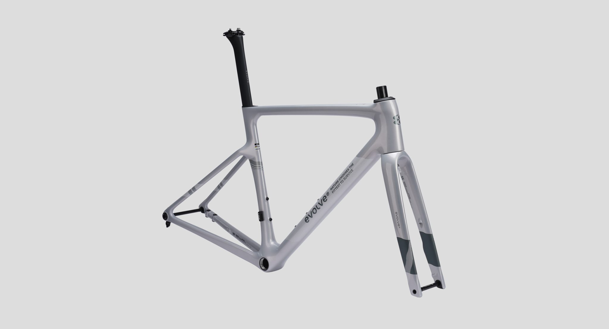 evolve CIMA Speed Artist Carbon Road bike Frameset – Panda Podium