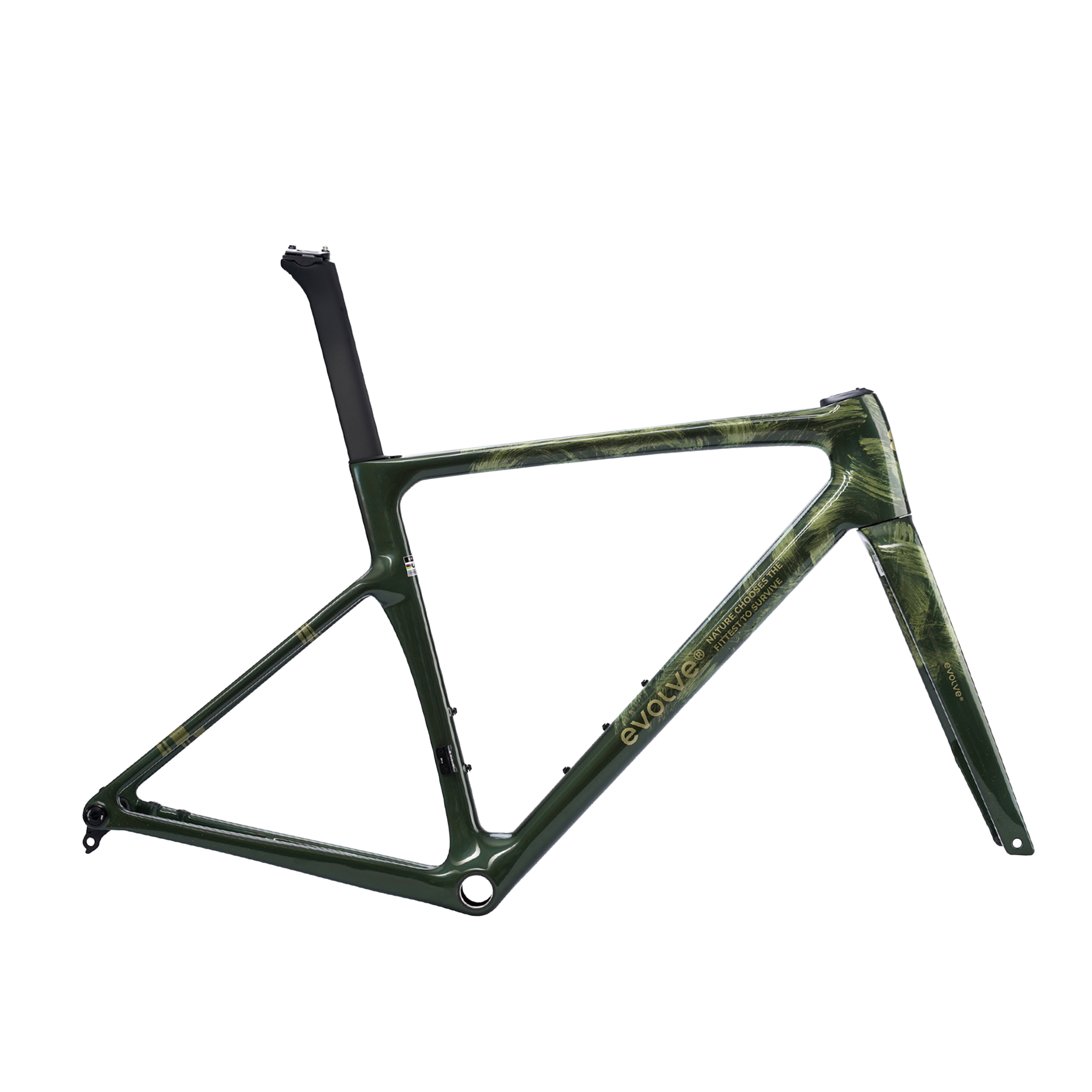 evolve CIMA Speed Artist Carbon Road bike Frameset – Panda Podium