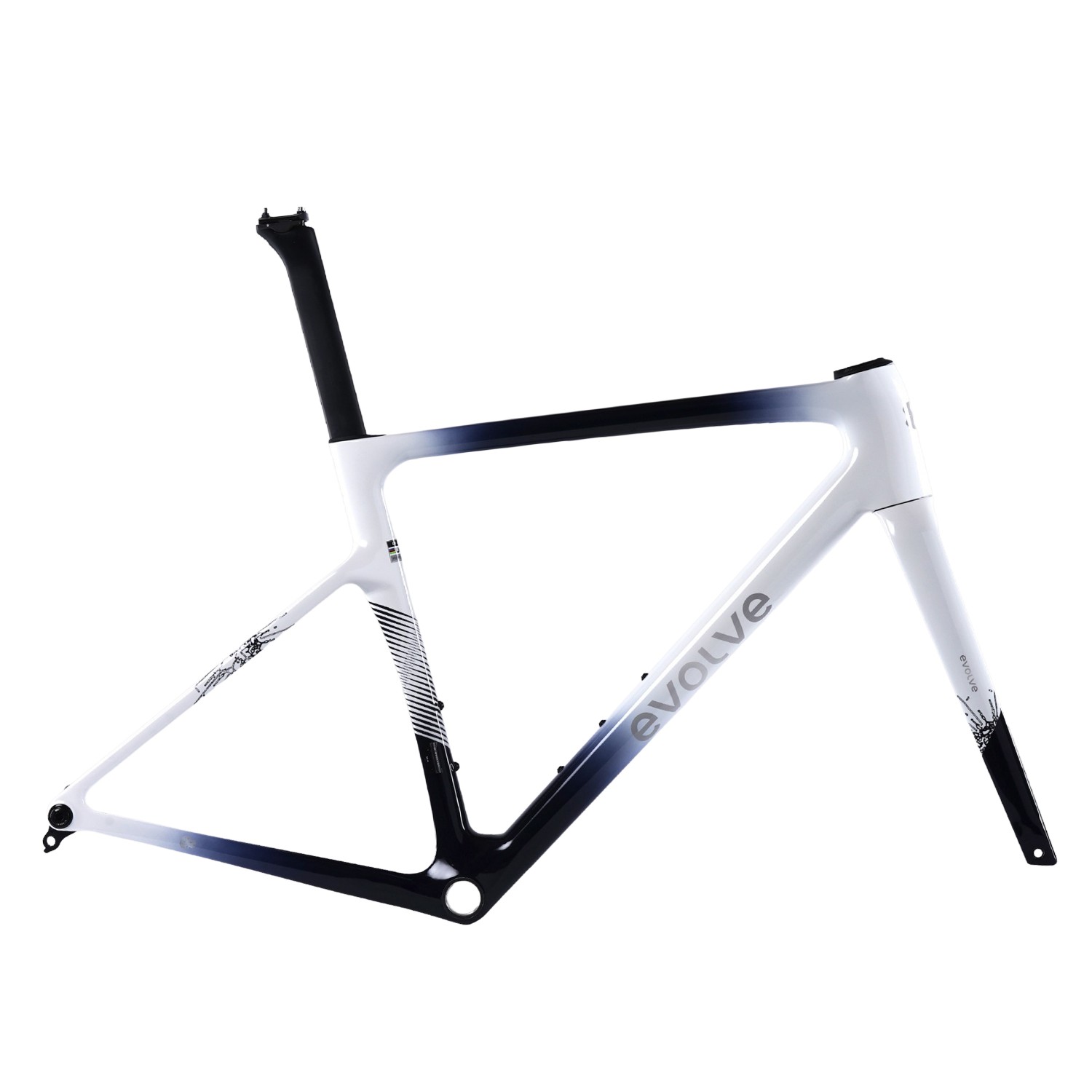 evolve CIMA Speed Artist Carbon Road bike Frameset