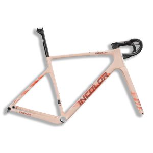 INCOLOR VOYAGER Gravel Frameset