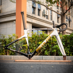 INCOLOR SR Carbon Disc Brake Road Bike Frameset - Image 3