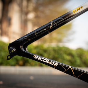 INCOLOR SR Carbon Disc Brake Road Bike Frameset - Image 4