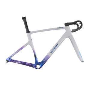 INCOLOR SR Road Frameset - Image 6