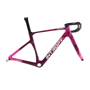 INCOLOR SR Road Frameset - Image 7