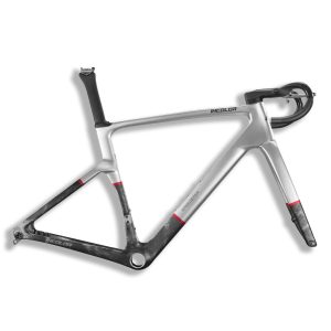 INCOLOR SR Carbon Disc Brake Road Bike Frameset