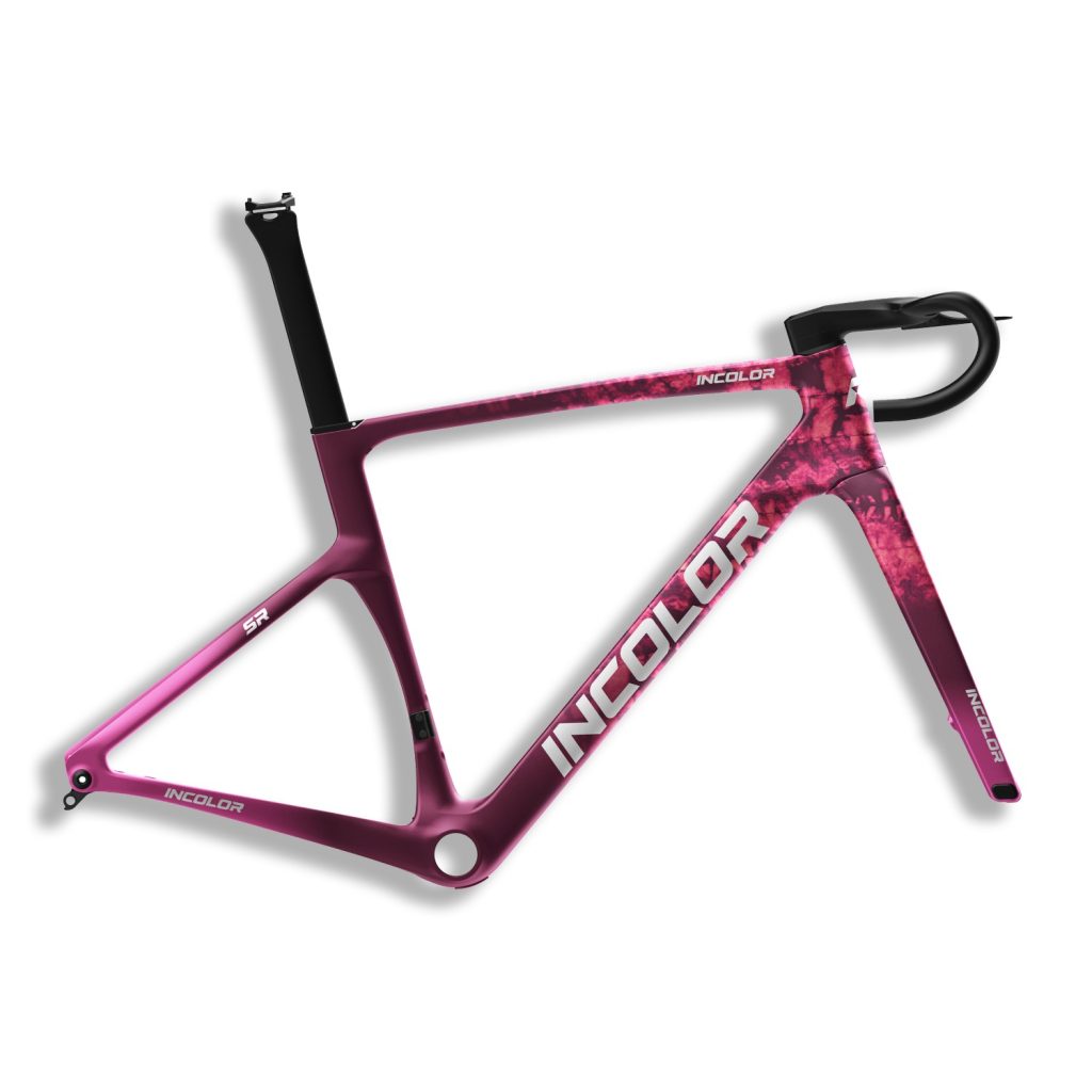 INCOLOR SR Carbon Disc Brake Road Bike Frameset
